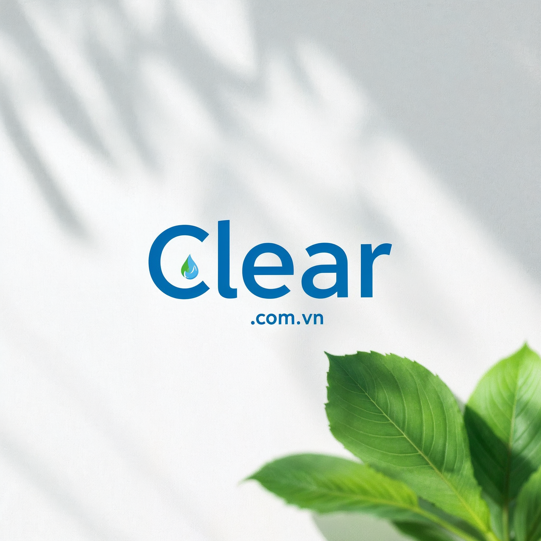 Sữa rửa mặt Clear